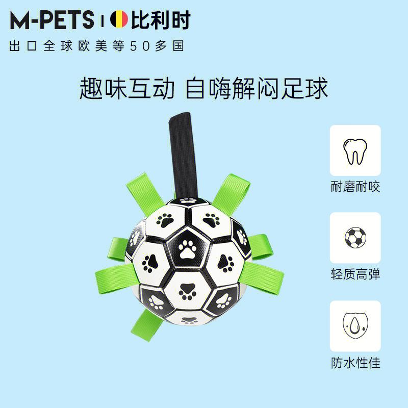 关于你知道吗？足球比赛的隐藏规则和奇闻趣事的信息