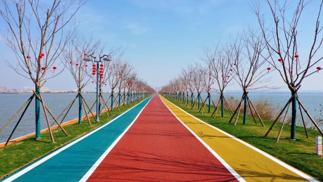 AYX官网-城市赛道的设计与特色