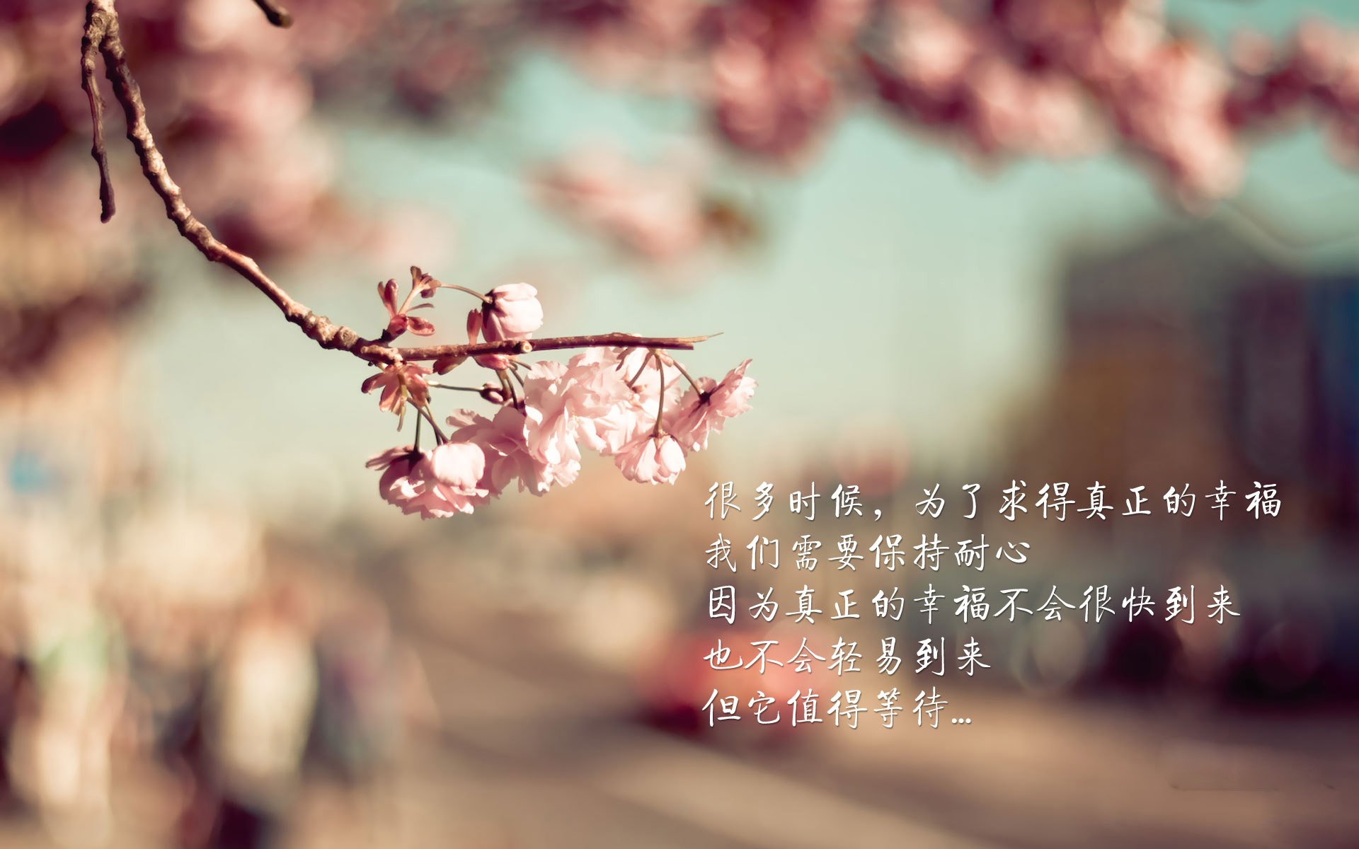 爱游戏体育app-_骑士年轻球员发挥出色，未来充满希望_，骑士队球员的年薪排名