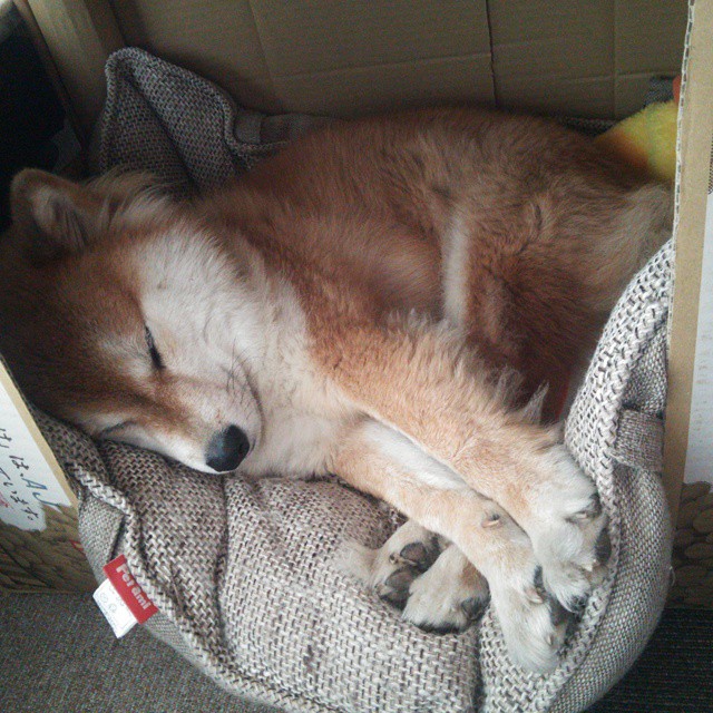 爱游戏app-“西甲焦点赛事：新星闪耀引全场热议”，西甲星星