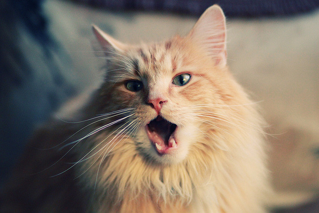 全国青少年“篮球公益行”走进湖南边远山区,湖南省篮球之乡