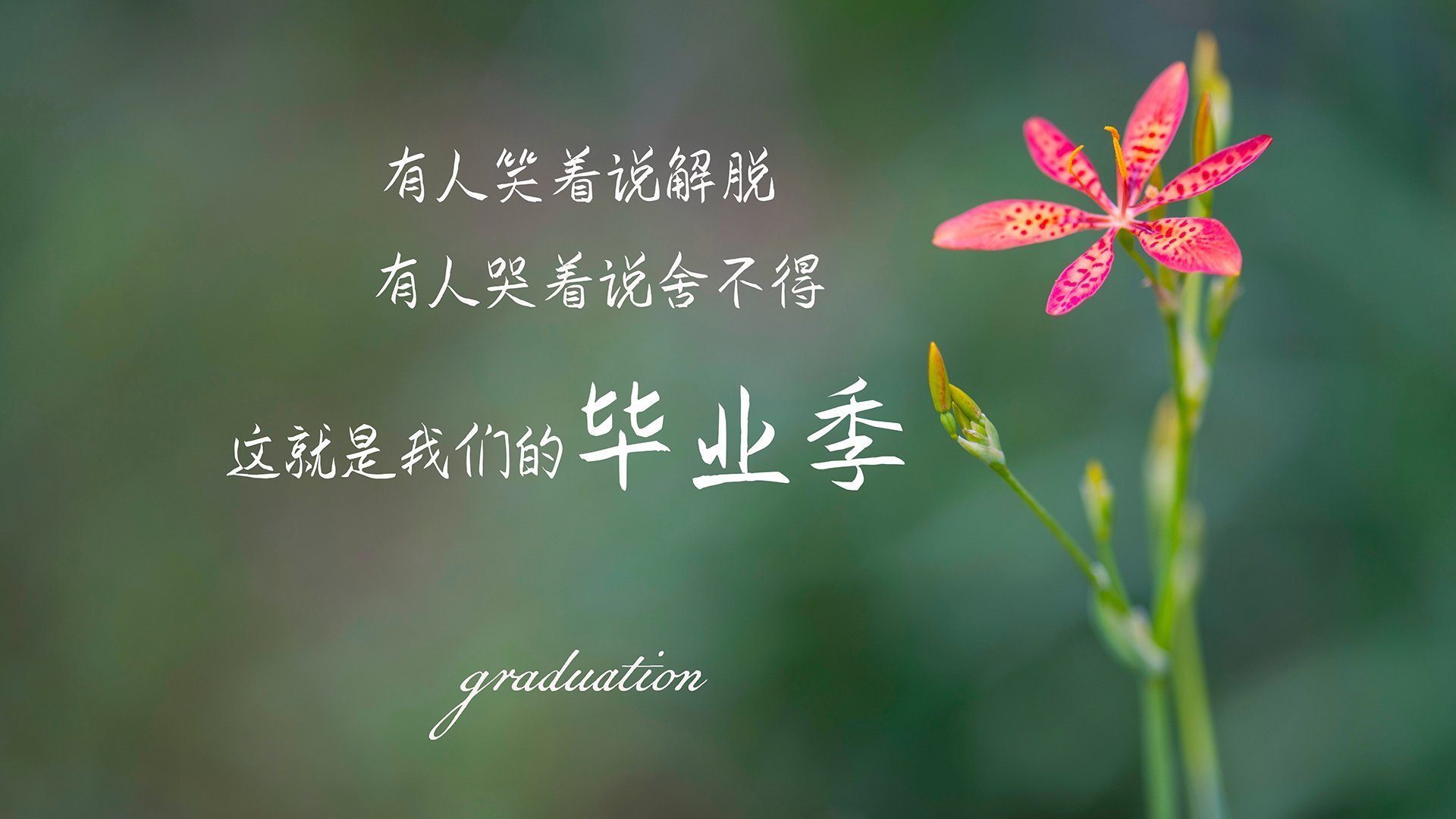 爱游戏官方网站-史上最大“黑马奇迹”军团逆袭登顶，黑马团原型