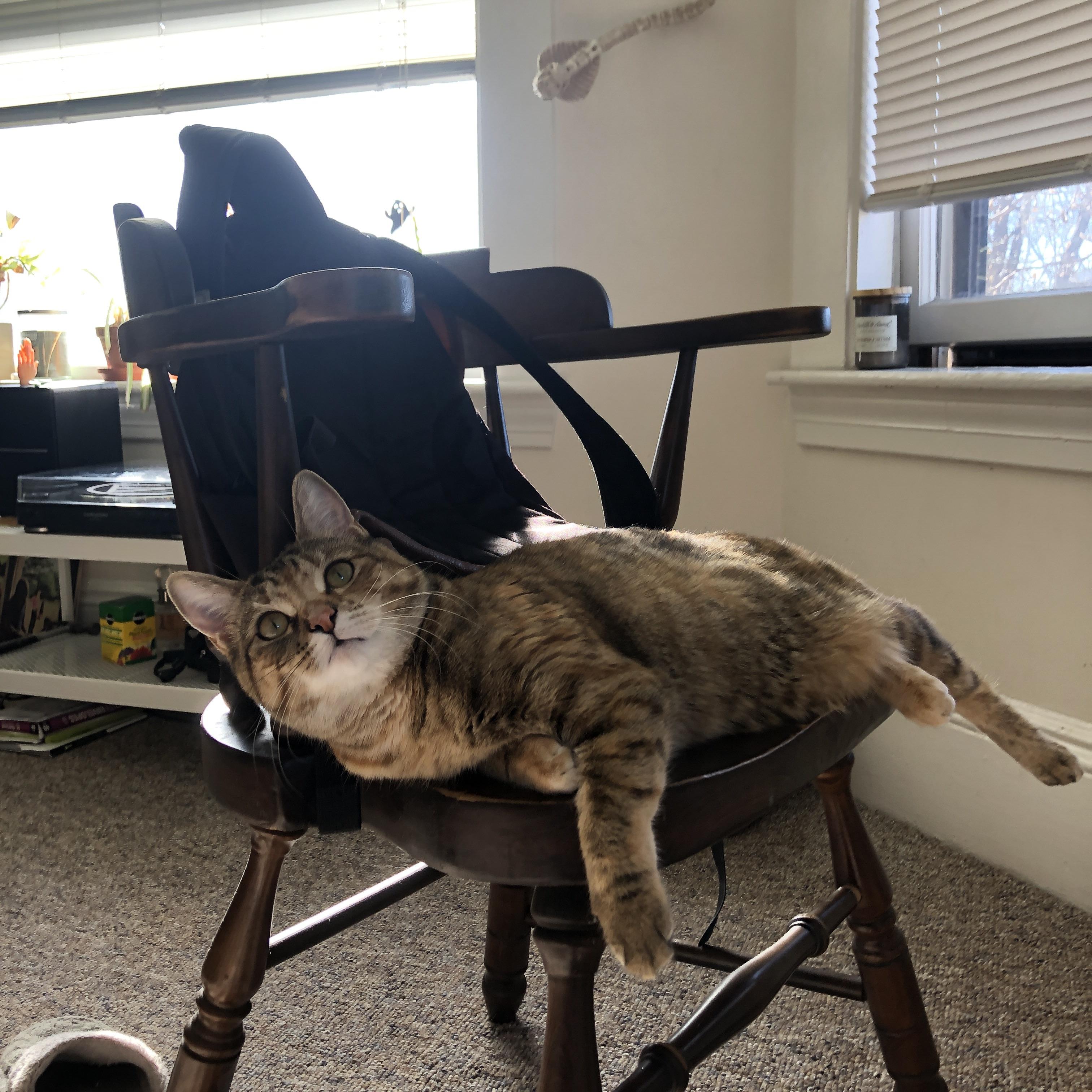 爱游戏体育APP下载-篮球青训基地扩建项目稳步推进，篮球青训中心怎么注册