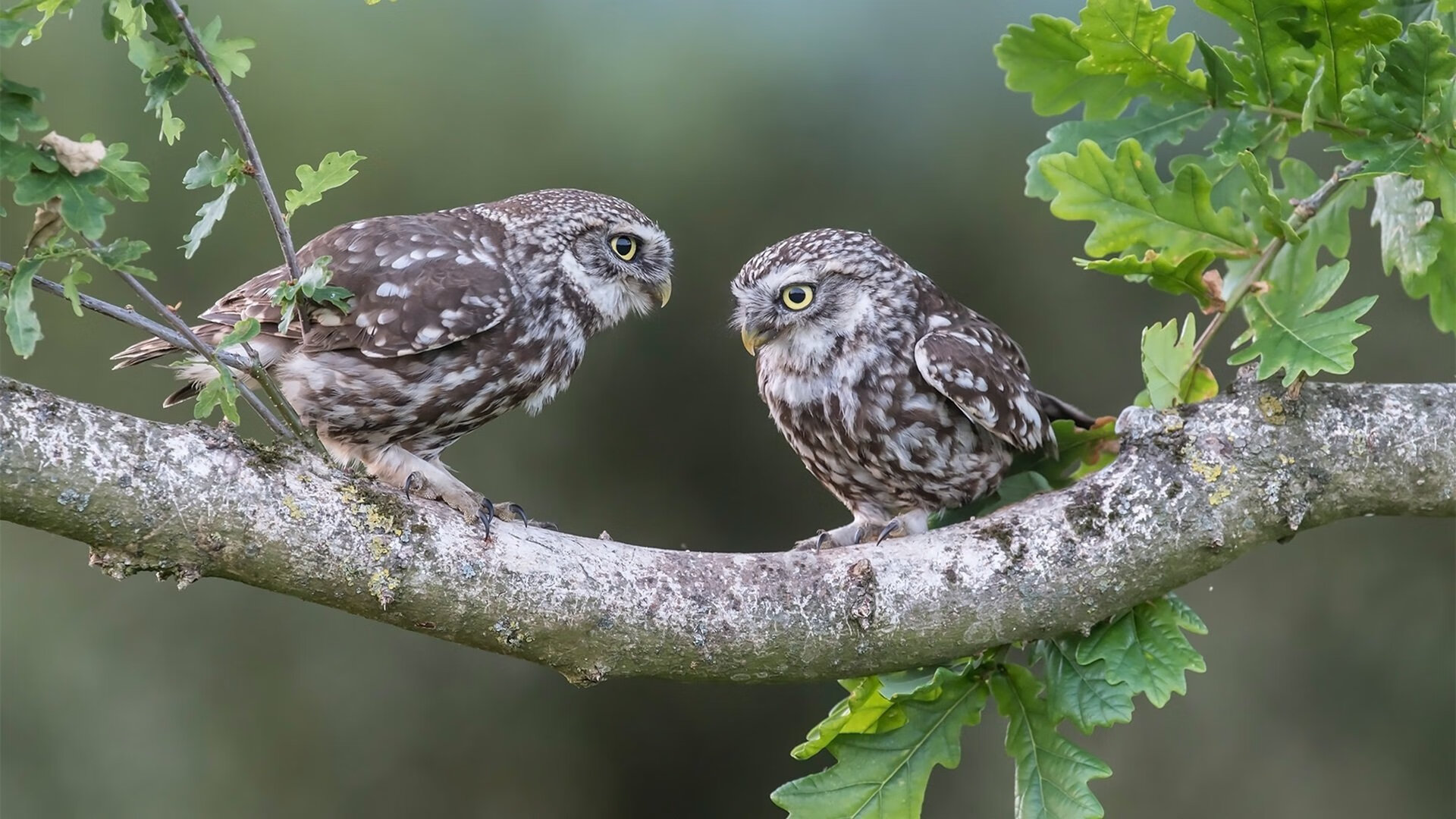 爱游戏娱乐平台-足球+智能硬件结合，比赛装备科技感十足，足球技术展示