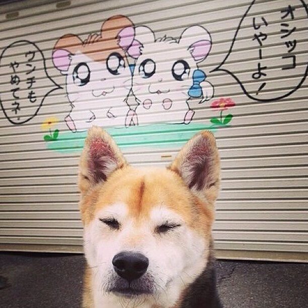 多特蒙德主场未能获胜,积分略有下降,多特蒙德主场在哪里