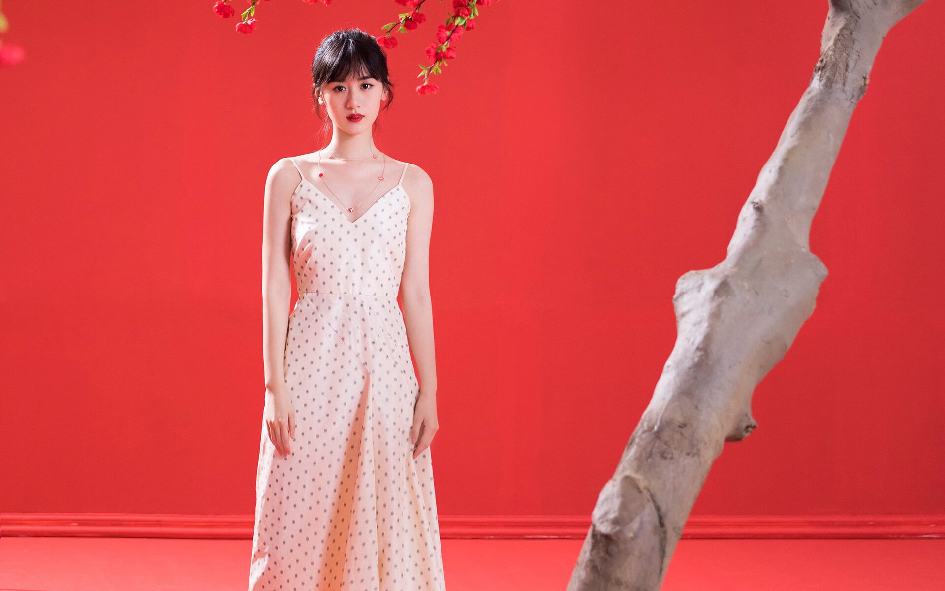 广场舞教练员职业化进程加快，2020年广场舞教练员培训班