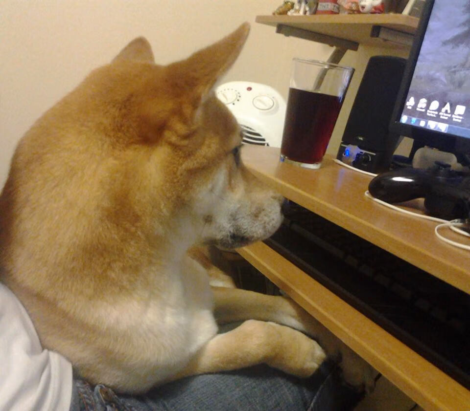 广场舞比赛吸引大量观众参与,广场舞比赛活动方案范文