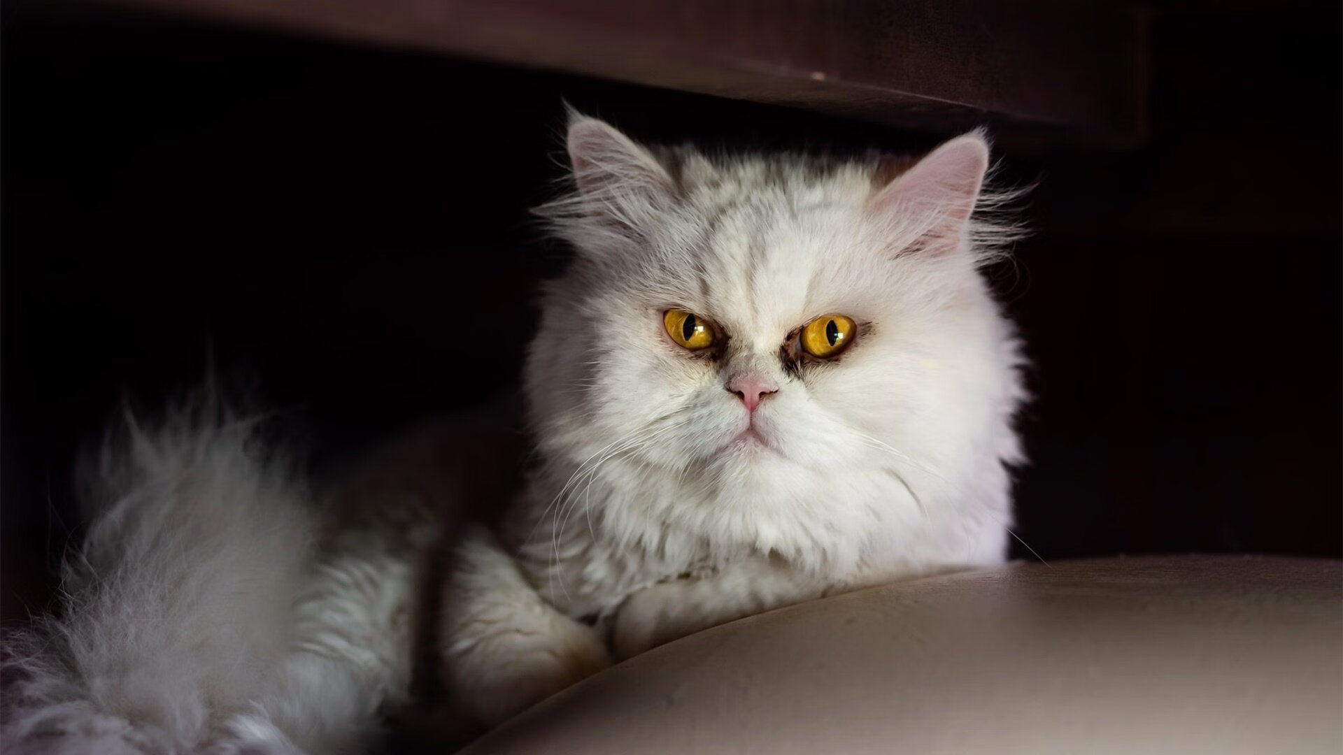 是否应加强球员社交平台行为管理,是否应加强球员社交平台行为管理呢