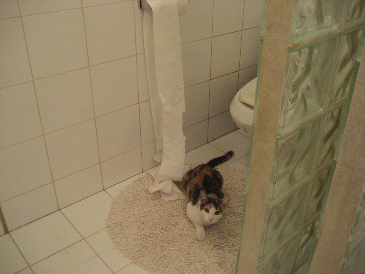 荷兰战平摩尔多瓦,竞技水平接近令双方难分高下,摩尔多瓦联