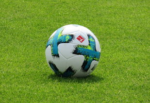 爱游戏娱乐网址-德甲防守战术转变对定位球防守效果的影响分析，德国足球防守大师