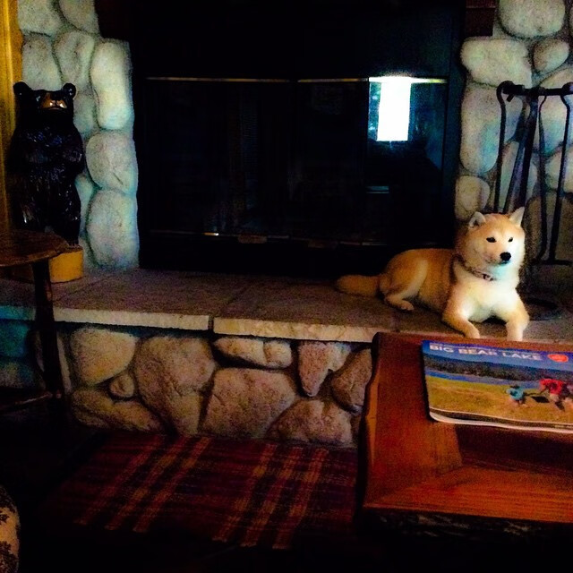 篮球运动员比赛策略智能辅助系统设计与实现,篮球运球辅助训练