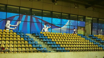 爱游戏-高校体育赛事安全管理体系构建，学校体育赛事体系