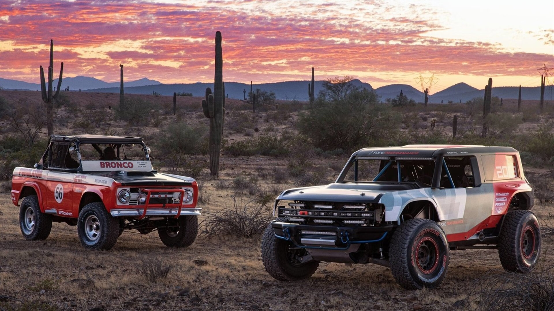塔特：袋鼠队的进攻核心，技术细腻突破无敌，袋鼠托特包有几个版本